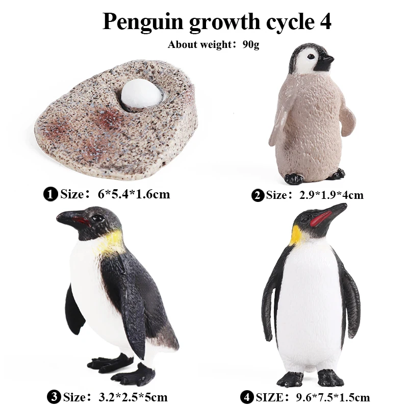 Oenux Polar Ocean Animals Figurines Sea Life Penguin Growth Cycle Model Action Figures Cute Decoration Kids Education Gift Toy