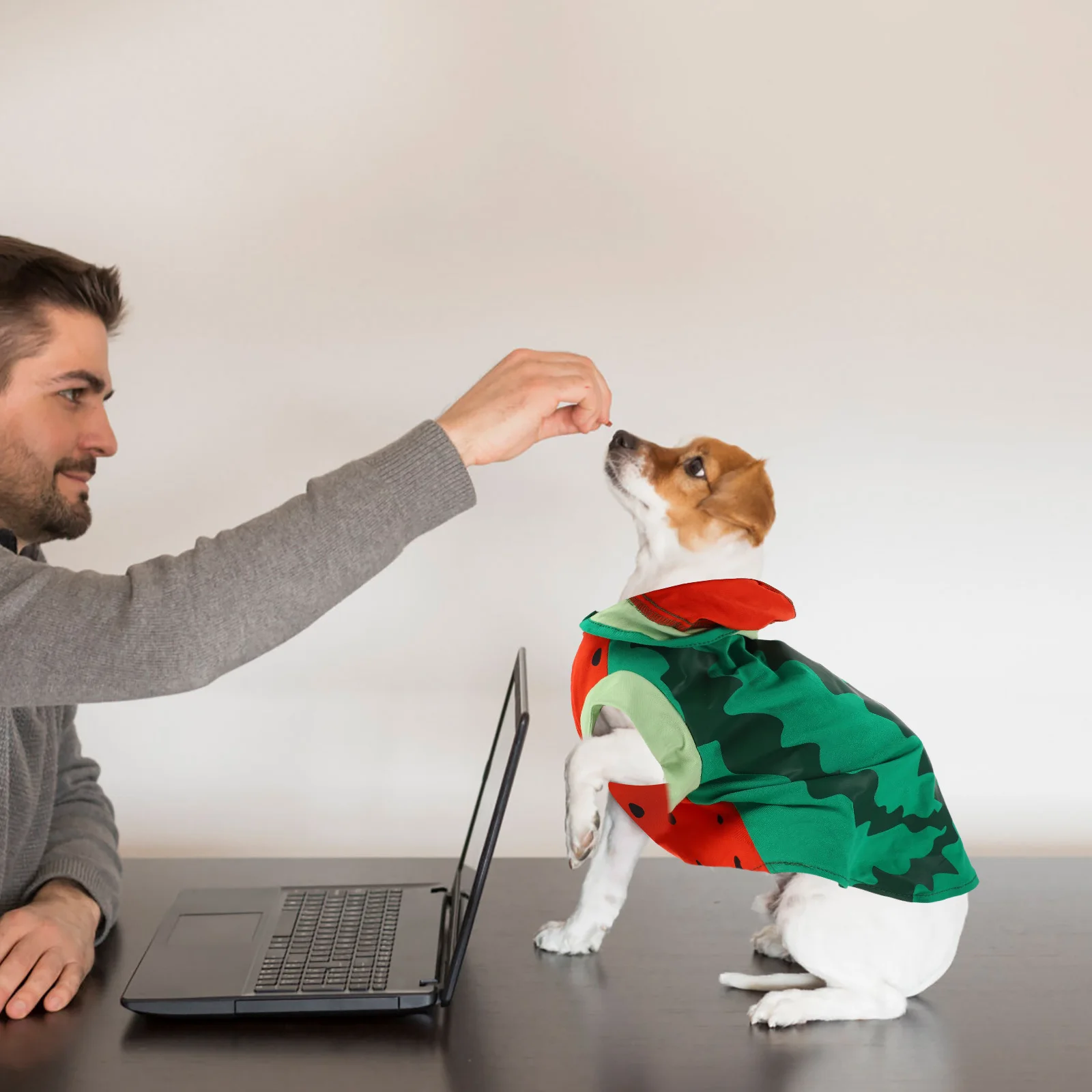 

Unique Watermelon Pattern Pet Outfit Premium Material Cat Dog Clothing Fashionable Look for Holiday Party Or Photography Session