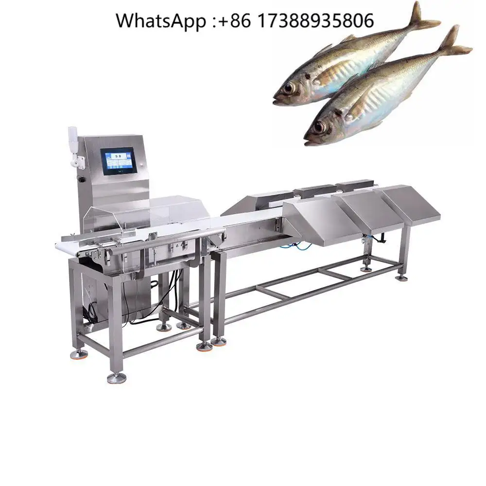 Custom High Speed and High Precision Digital Sorting Weighing Scale Automatic Checkweigher Weight Sorter Machine for Frozen Fish
