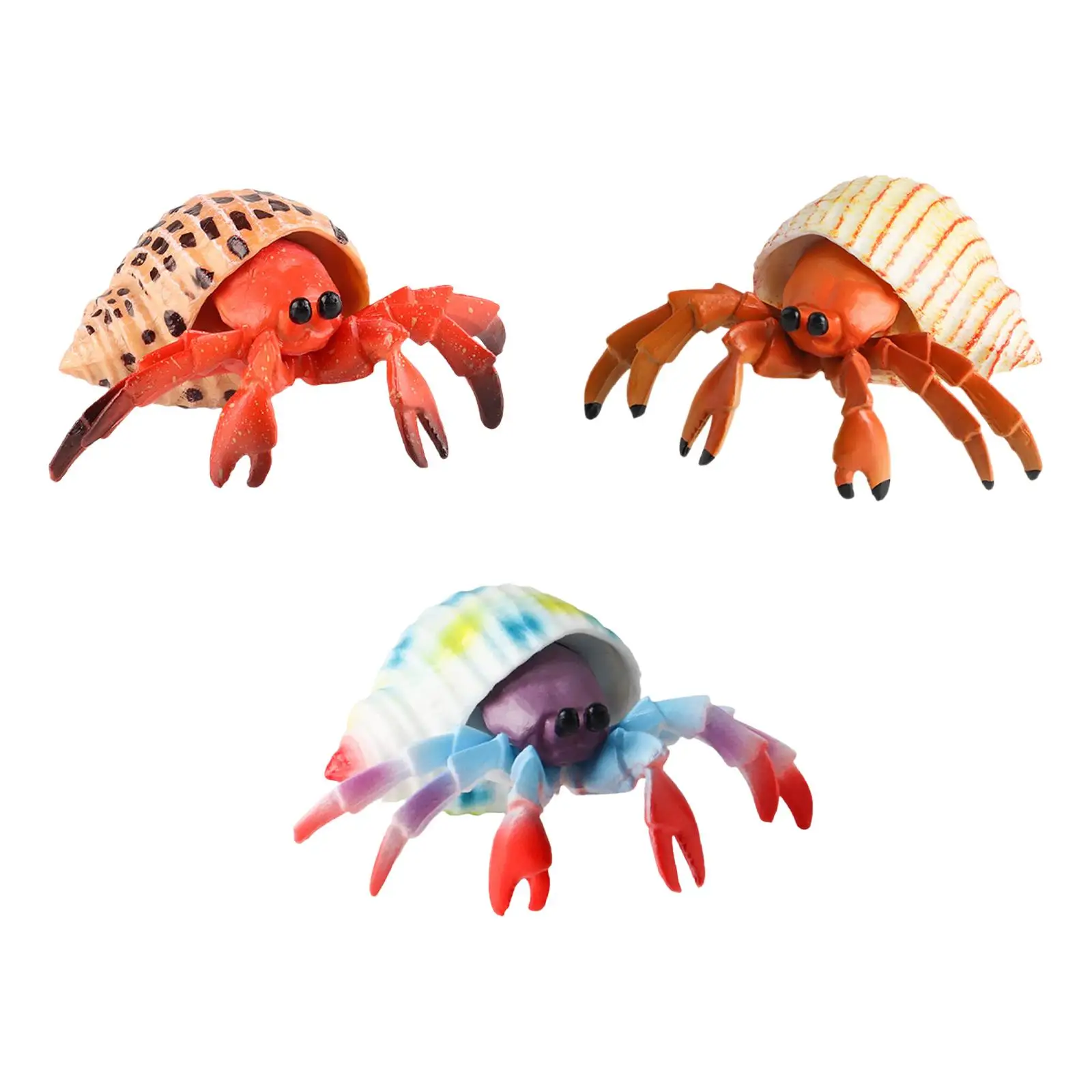 Simulation Hermit Marine Animal Statue Hand Painted Figurine Aquarium Decoration Educational Toy for Classroom Reward