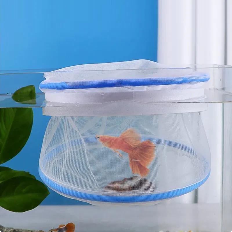 5pcs/set Clamshell Floating Fish Net Ventilated Guppy Breeding Net Tank Isolation Box Portable Fish Net Breeding Fish Breeding