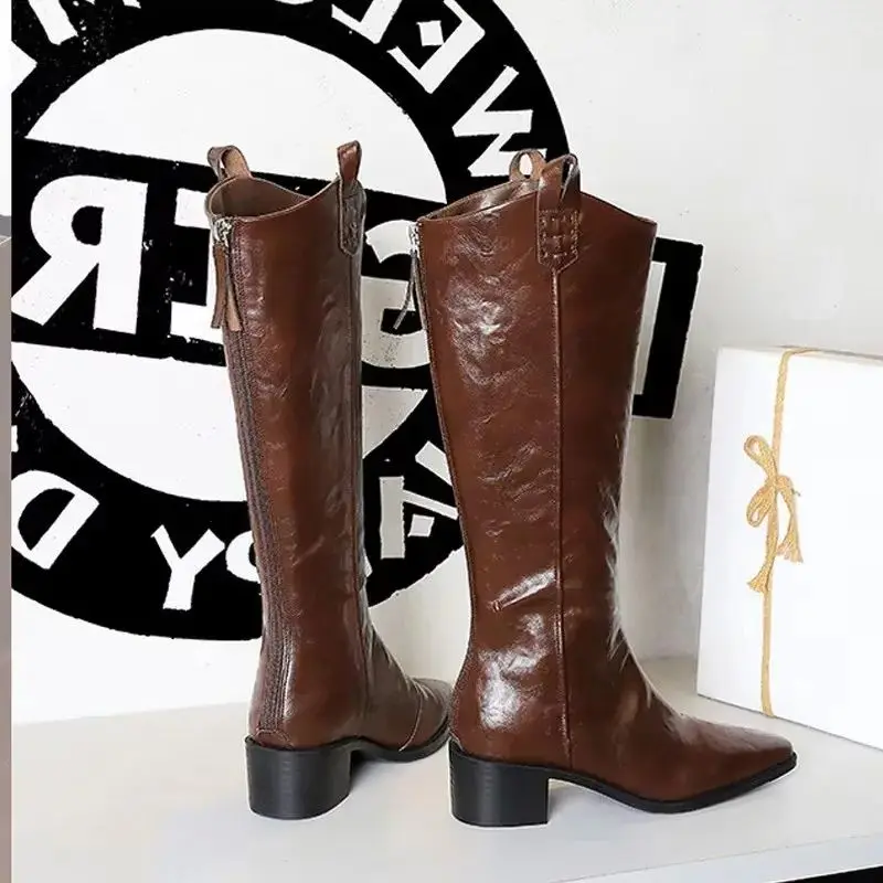 BIGTREE Spring Autumn Pointed Toe Knee-High Boots Women Designer Vintage Square Low Heels Shoes Modern Long Botas Para Mujer