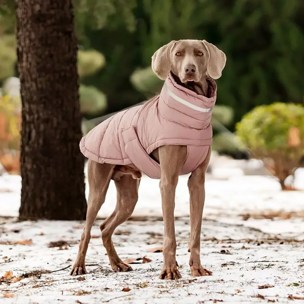 Pet Dog Jacket Vest Winter Warm Dog Down Vest Clothes Windproof For Dogs Pet Coat Chihuahua French Bulldog Outfits