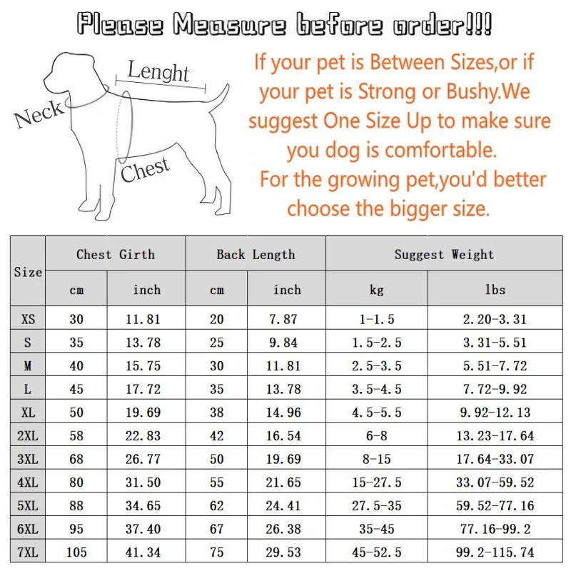Luxuriöse Hundehoodies für kleine Hunde, Hundesweatshirt mit Bärenmuster, Frühlingskleidung für Welpen, weiche, warme Katzenhoodies, Yorkshire-Pullover für Haustiere. – Detail 2