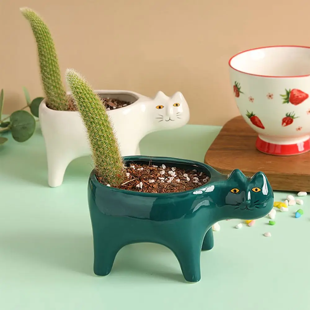 

Succulent Animal Image Balcony Potted Garden Cactus Plants Plant Pot Tabletop Ornaments Flower Pot Plant Container