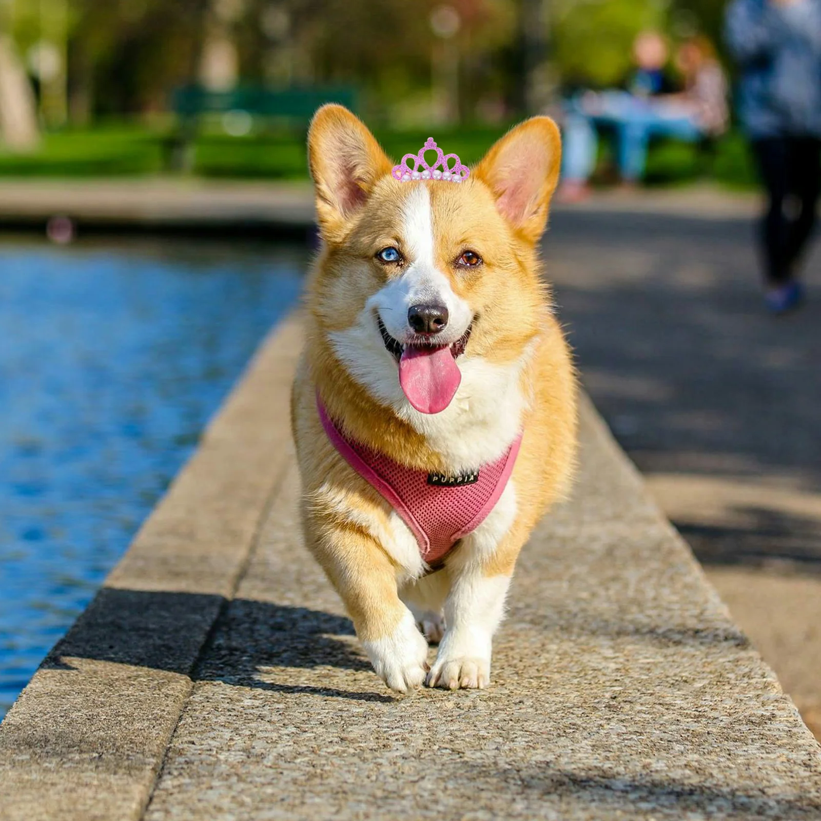 

10 pcs Dog Hair Clips Crown Shape Pearl Pet Headdress For Small Dogs Party Photo Props Hair Accessories Dog Barrette Pet