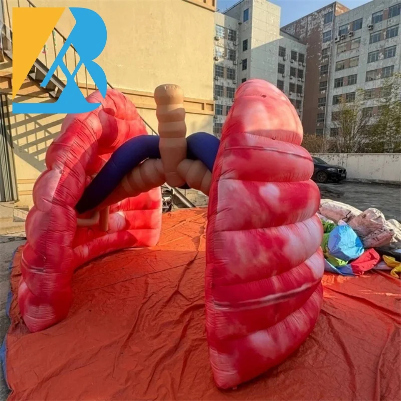 Bespoke Events Decorative Giant Inflatable Lung Replica for Exhibition Props Toys