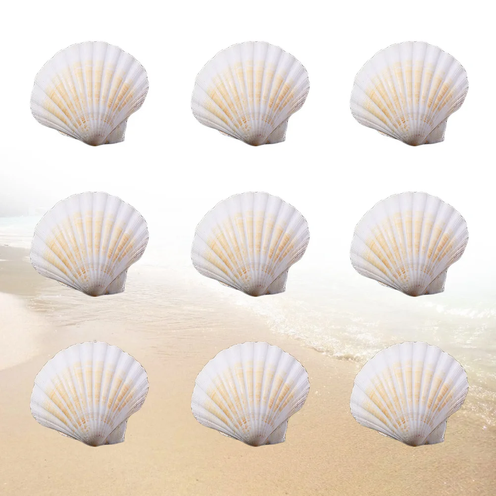 

10Pc Natural White Sea Shell Craft Charms for Decoration Ornaments Intelligence