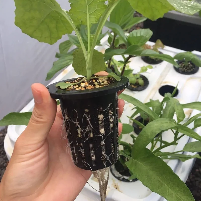 100pcs Black Plastic Fixing Basket Gardening Soilless Slotted Mesh Plant Cups, Pots, Buckets, Baskets for Hydroponics-AT35