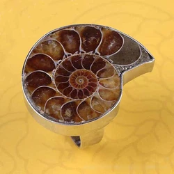 Unique Adjustable Ring Fashion Natural Ammonite Reliquiae-Finger Ring Jewelry Natural Fossil-Shell-Ring Women Girl Teen