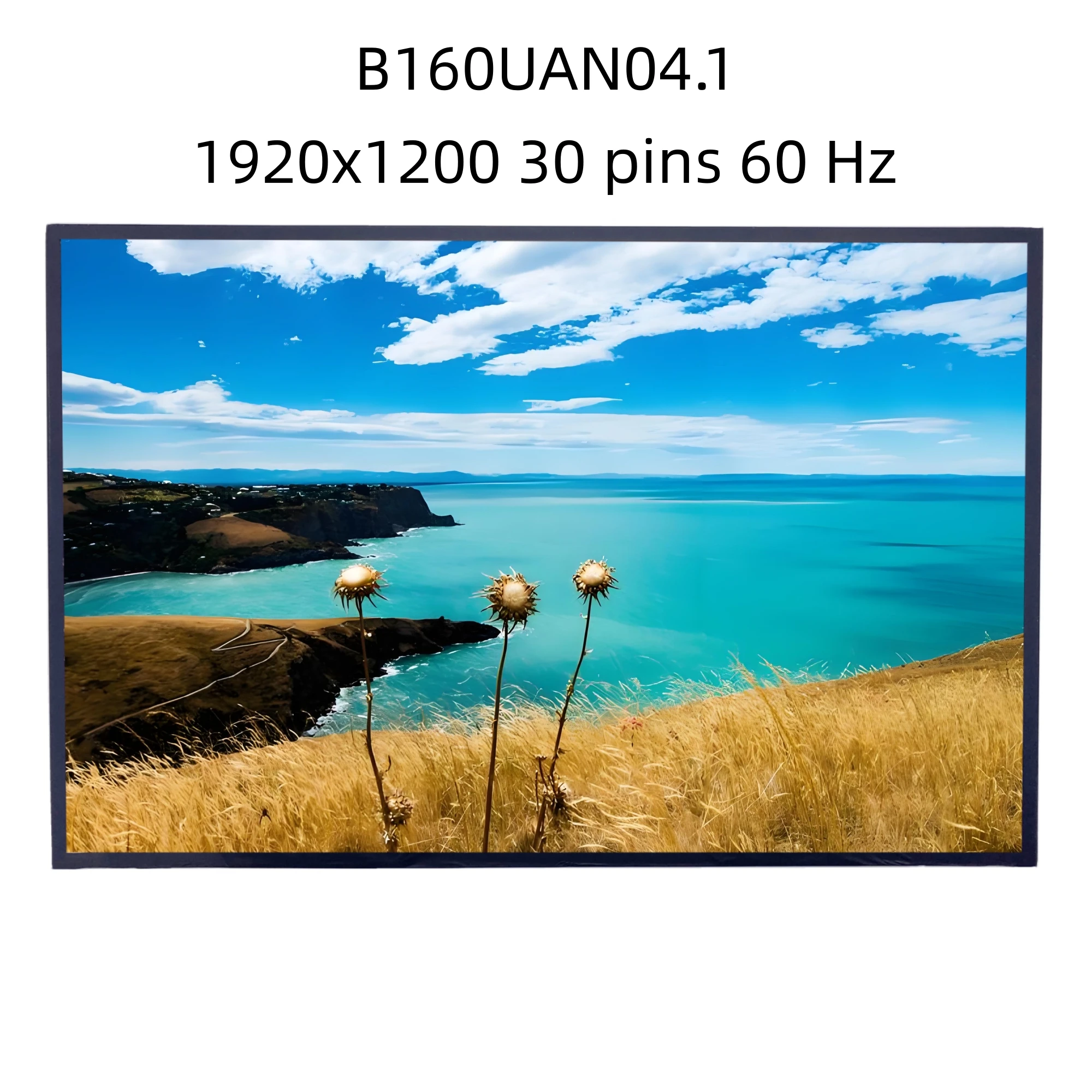 

B160UAN04.1 16.0 inch IPS Laptop LCD screen Replacement Display Panel Matrix EDP