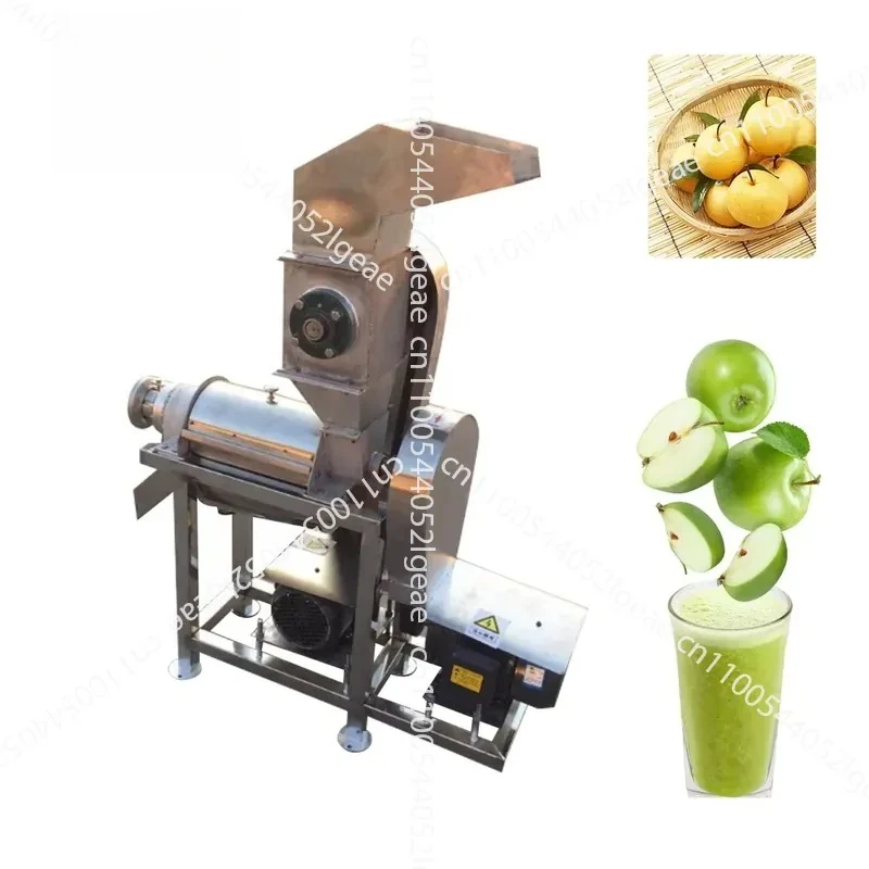 Commercial Fruit Apple Banana Tomato Juice Extractor Ginger Orange Juice Machine