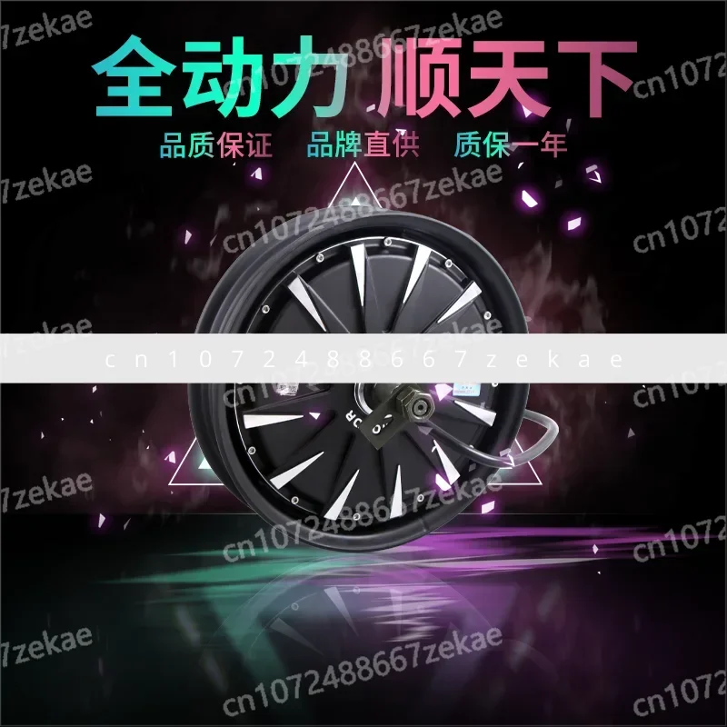 

10 12 Inch National Standard 14 16 Inch Electric Vehicle 48V400 1000 1500 2000W Motor