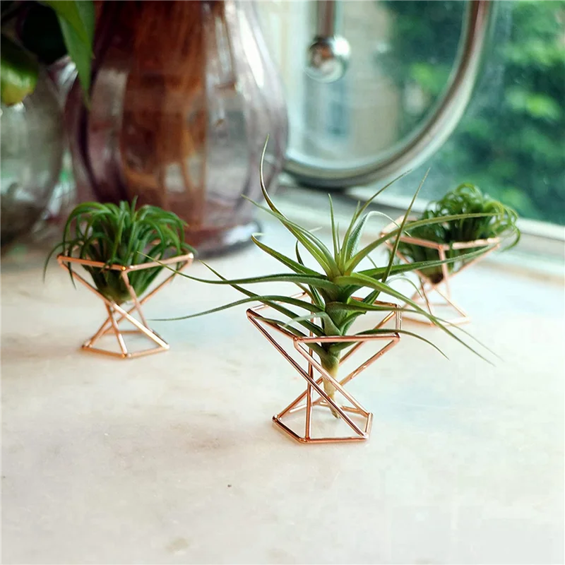 ABAE-Pack 20 حامل نباتات هوائية حامل نباتات الهواء Tillandsias عرض حاوية نباتية لتنقية الهواء حامل السرخس الهوائي، ذهبي وردي