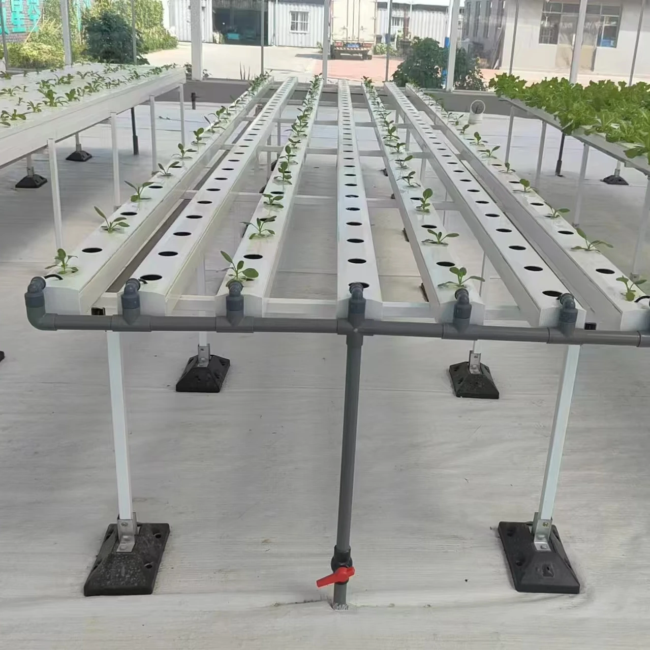 

Customized greenhouseLeaf Vegetable Horizontal Mode NFT Pipeline Hydroponic Cultivation System Greenhouse with PC Glass Film Cov