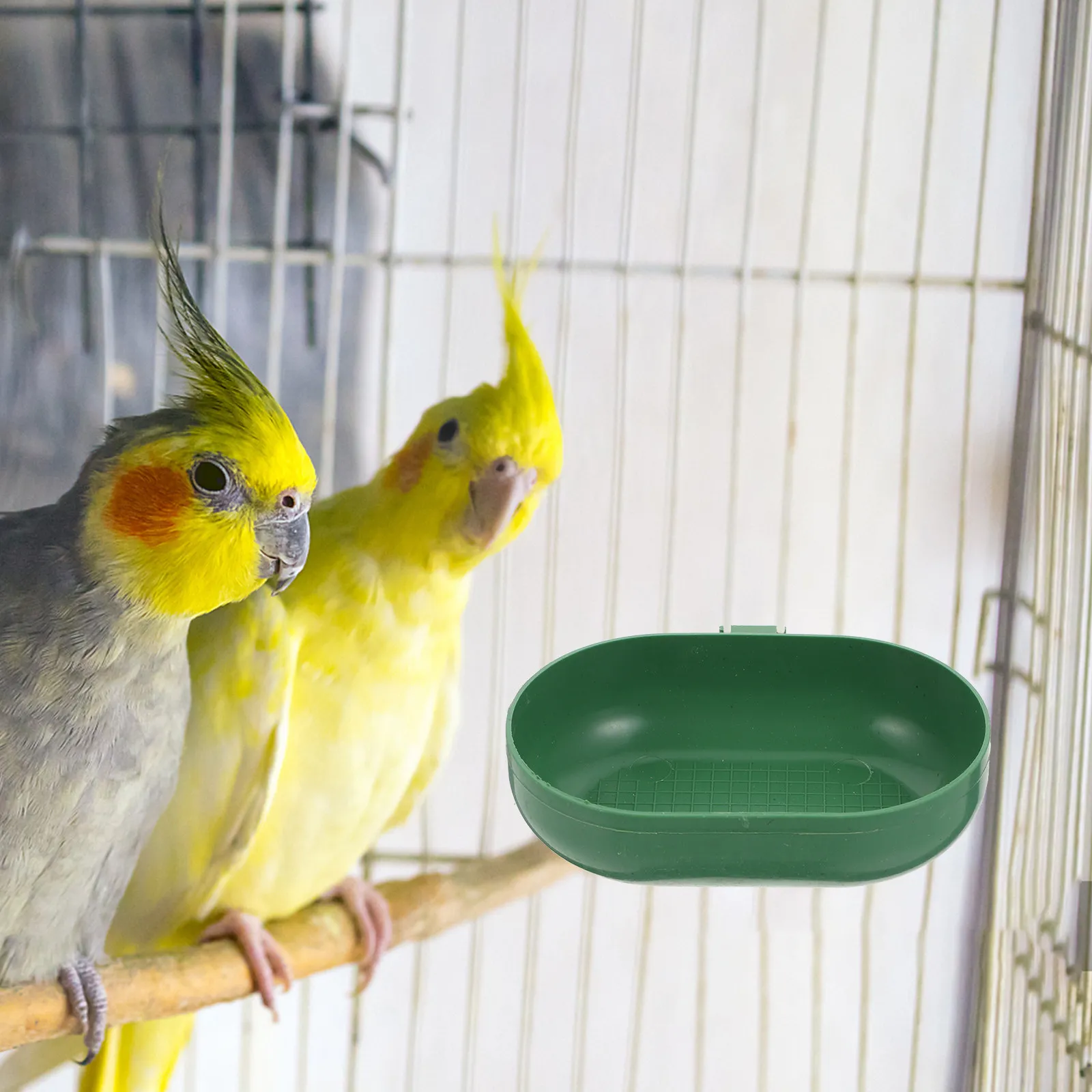 2Pcs Green Plastic Bird Shower Basins Multifunction Pet Washing Boxes Parrot Bathtubs for Garden Decor Home Garden Supplies