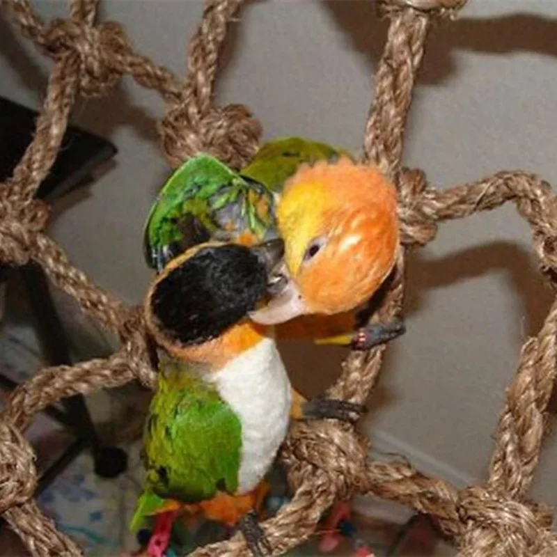 Thumbnail 3 - #16 Compare Hanging Bird Chew Toys Before You Buy