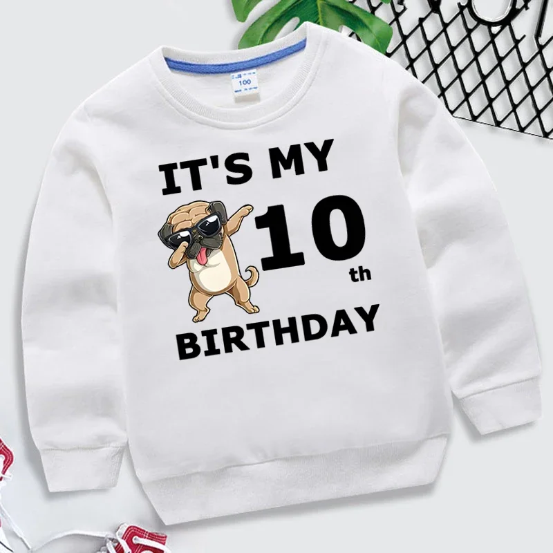 Cartoon Dogs Kid Sweatshirts Birthday Number 1-10 Children Pullover Happy Birthday Boy Girl Hoodie Casual Clothes Baby Tops