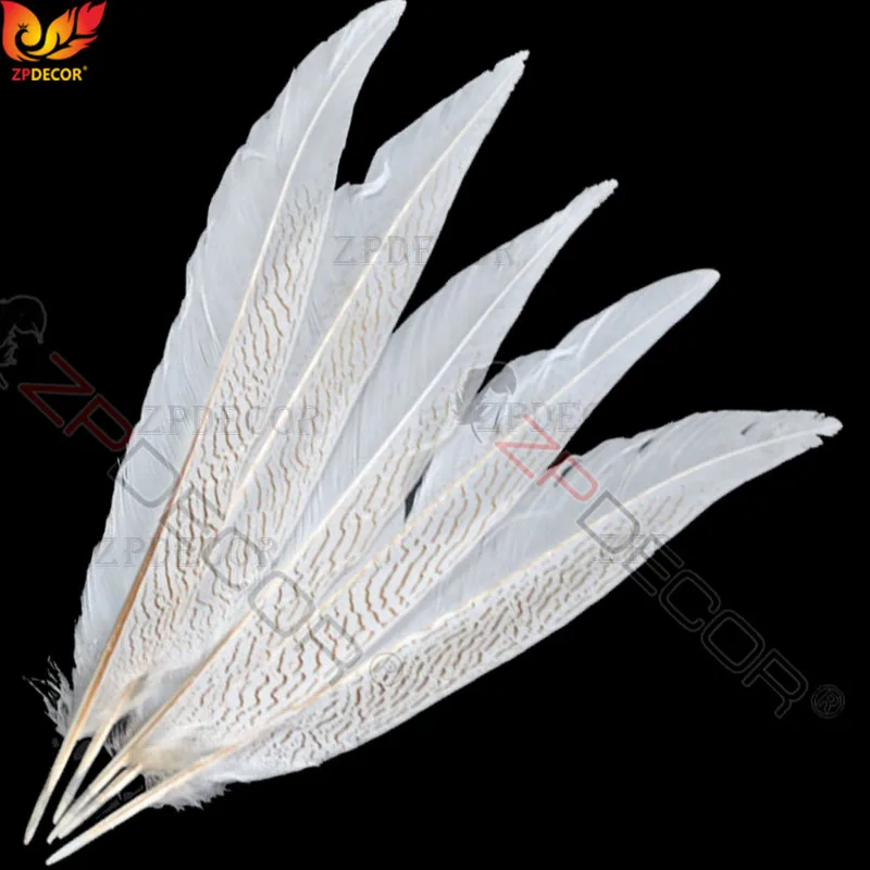 40-45 CM/16-18 Inch Silver Pheasant Tail Feathers Color can be custom