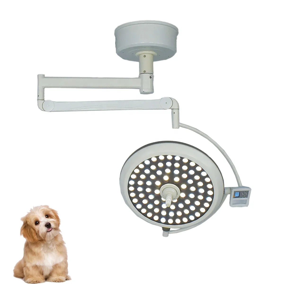 

LED Shadowless Operating Lamp Shadowless Light Single Head Veterinary Wall Mounted Surgical Lamp
