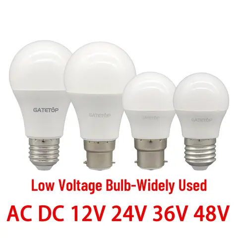 1-10PCS/Lot AC DC 12V 24V 36V 48V Low Voltage LED Bulb Lamp E27 B22 10W 3W 5W Warm Cold Lighting 3000K 4000K 6000K for Home