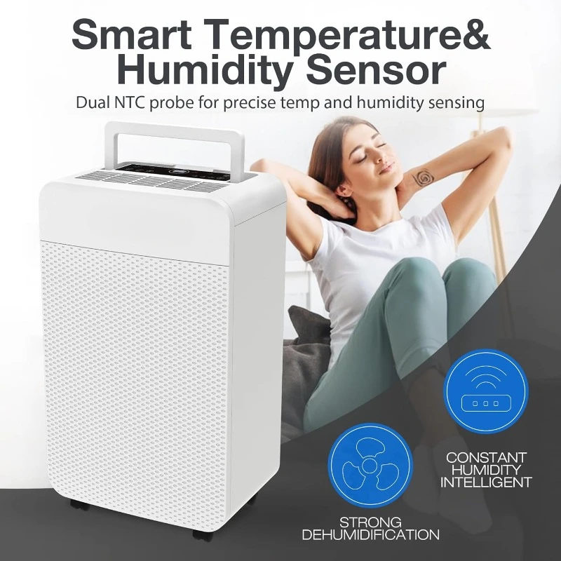 Hot Selling Dehumidifier for Basements and Homes Bathrooms Bedrooms Comes with Drain Hose Auto Defrost Timer FunctionEasy To Use