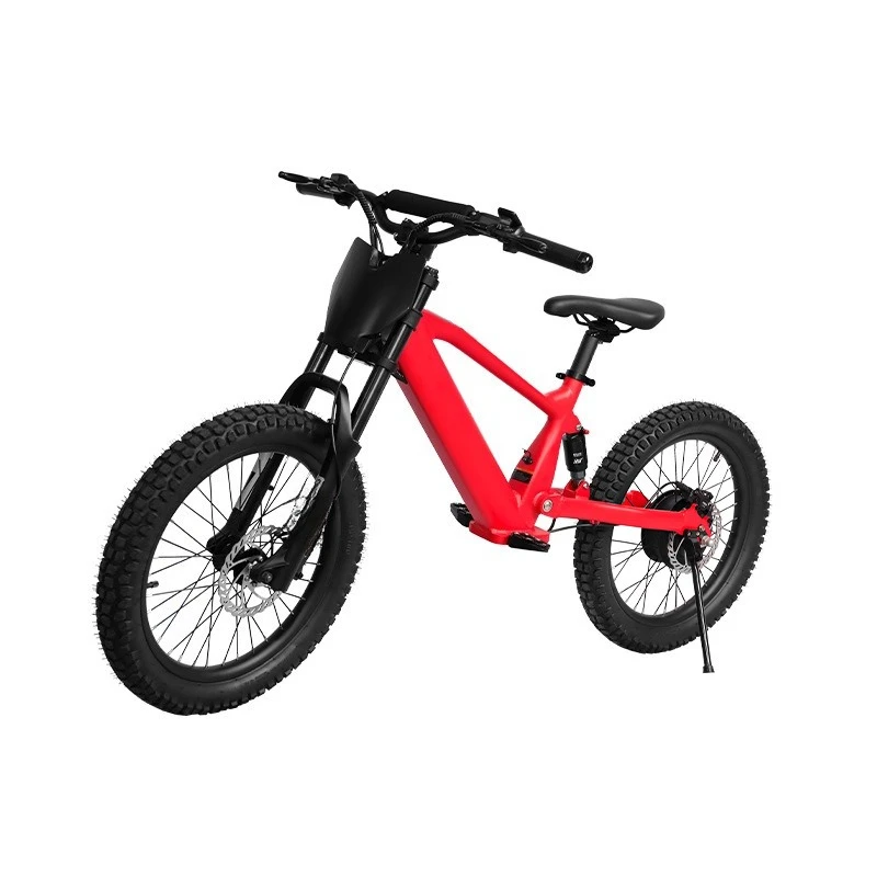 Single Drive Electric Off-Road Mountain Bike 36V350W High Power Electric Assist Off-Road Bike