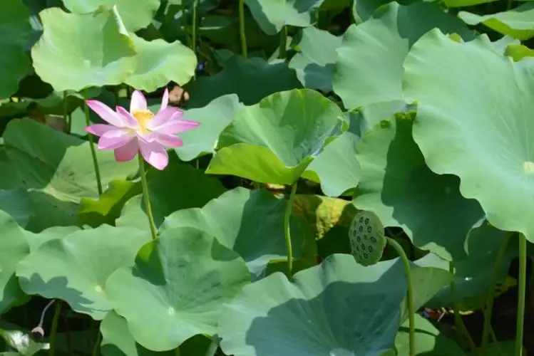 

Бордорожный дрифт-автомобиль, металлическая ступица колеса из алюминиевого сплава, обод колеса автомобиля для восхождения, для 1/10 HSP Tamiya HPI Kyosho Sakura D5 TT02 Drift Hub