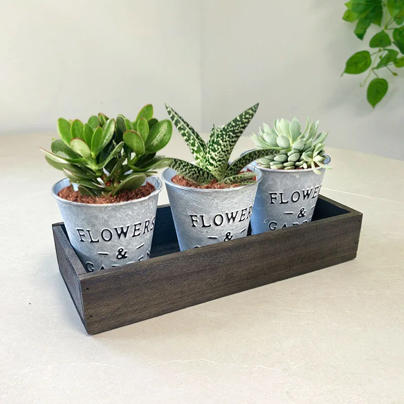 

Vintage Wooden Flower Pot Set with 3 Distressed Galvanized Pots, Rustic Tabletop Decor for Succulents & Plants