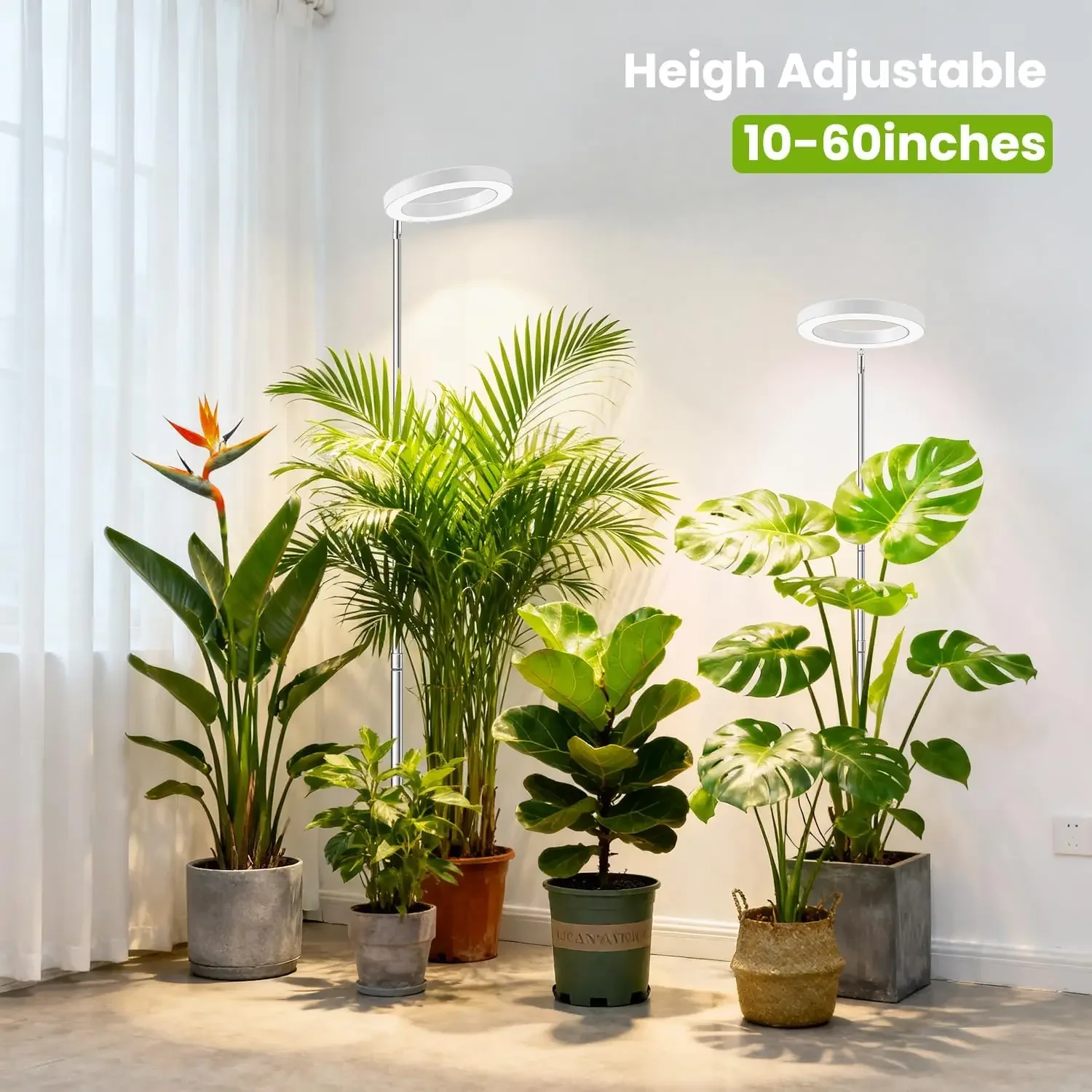 D Grow Light for Indoor Plants, Full Spectrum Plant Lamp with 72 LEDs, 10 Dimmable Levels, 3 Spectrum Modes, Height Adjustable