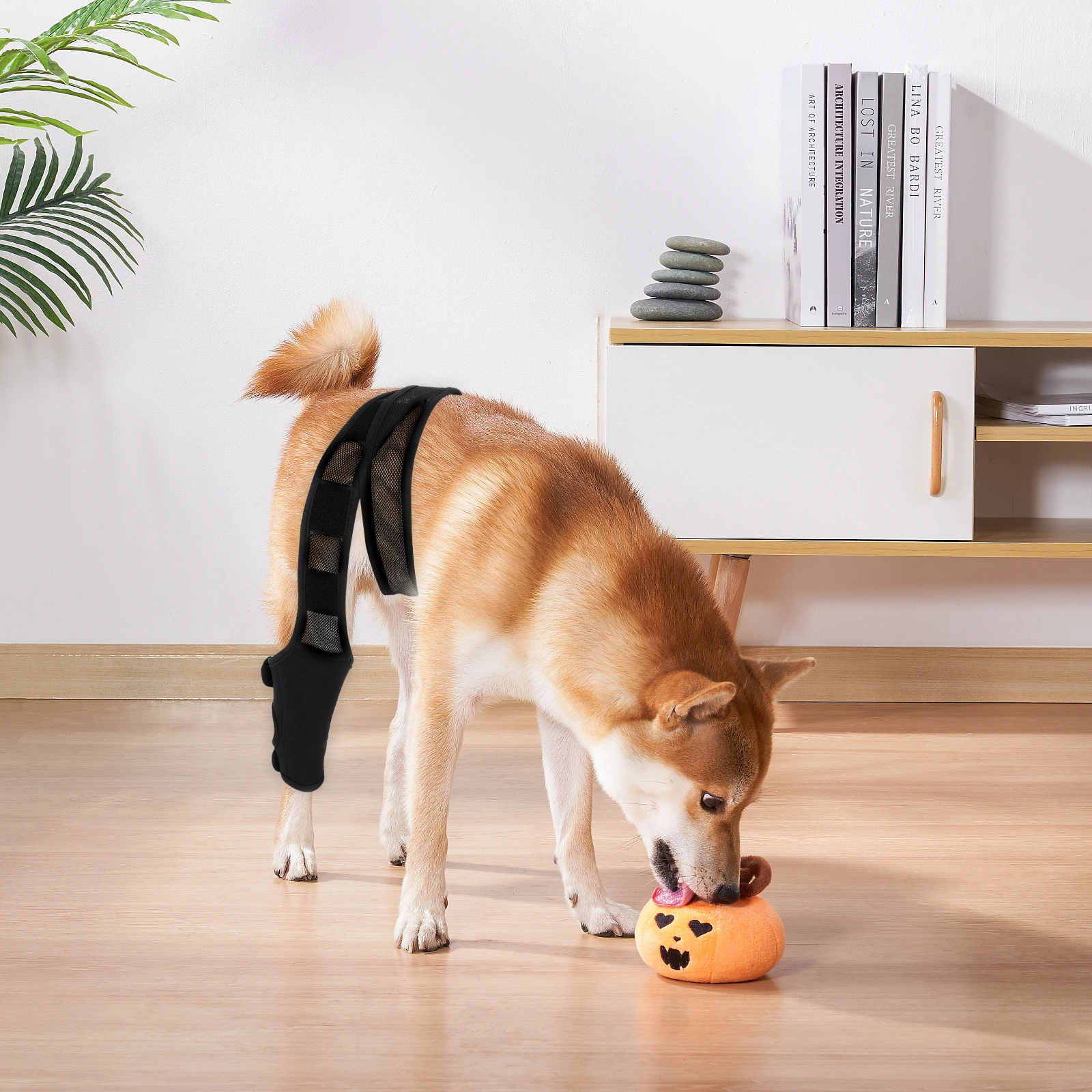 

Pet Leg Stand Neoprene Dog Sleeve Bandages for Dogs Paw Joint Acl Brace