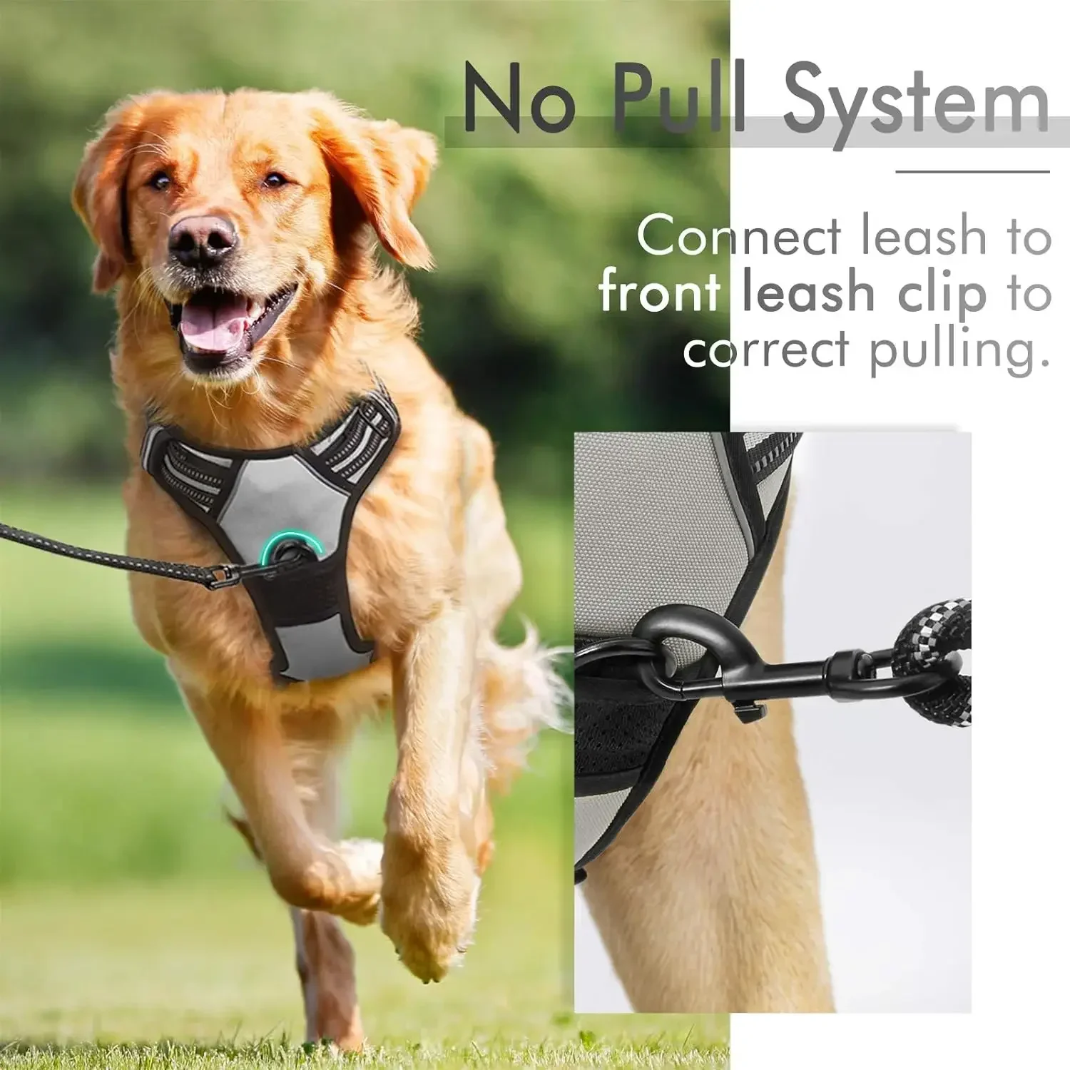 No-Pull Pet Harness with 2 Leash Clips, Adjustable Soft Padded Dog Vest, Reflective No-Choke Pet