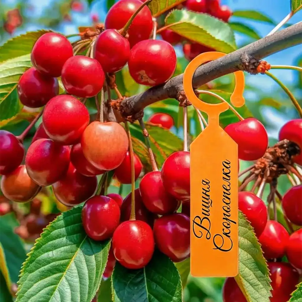 Garden Planting Tag Ring Hook Tree Markers Sign Plastic Waterproof Re-Usable Hanging Label Stakes For Flower Vegetables Nursery