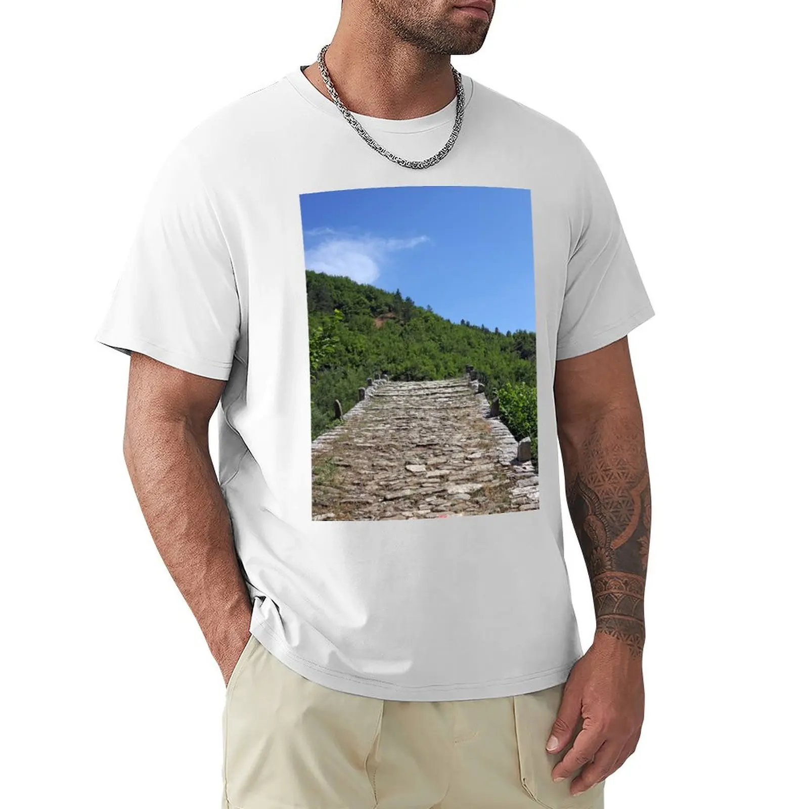 stone path Kalogeriko bridge Zagoria Greece T-Shirt new edition vintage customizeds boys animal print men graphic t shirts