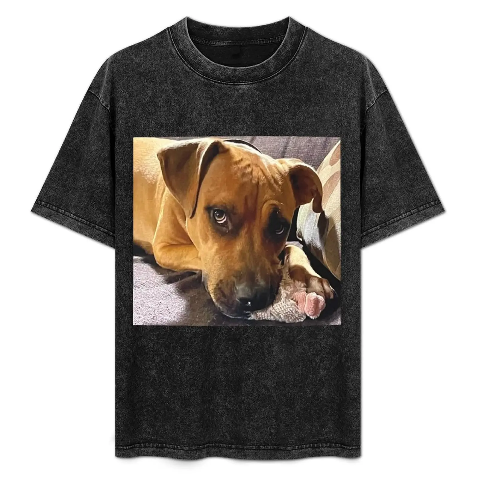 Doggie with toy T-Shirt shirts graphic tee new edition vintage t shirts heavyweights mens t shirt