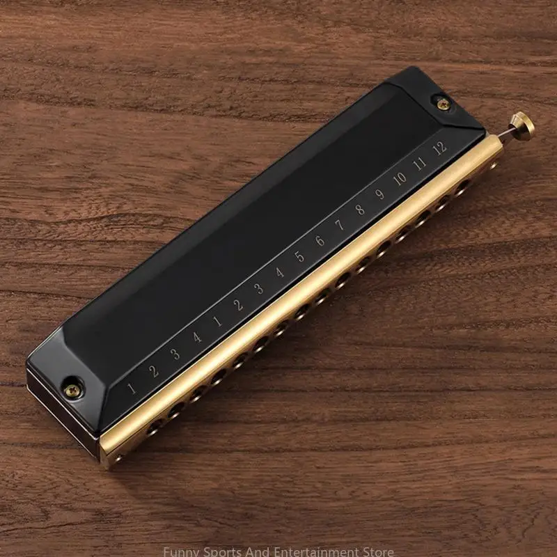 16-Loch-Mundharmonika für Tonart C mit Koffer, 48-Ton, professioneller und Anfänger-Musikplayer, Geschenk für Studenten – Detail 2