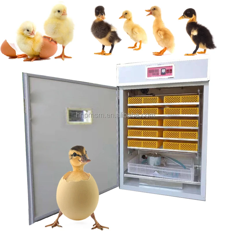 Cheap Emu Egg Incubator Hatching Machine Price Popular Egg Incubator For Hatchering 8000 Egg Incubator