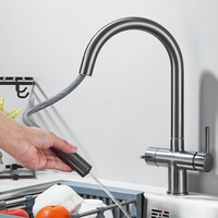 Gun Grey Dual Spout Kitchen Mixer Swivelling 360° Hot And Cold Water Mixer Pull-down Pure Water Faucet Twin-handle Kitchen Mixer