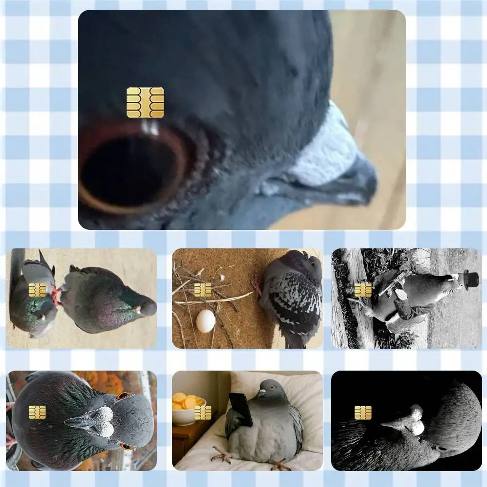pigeon F-Funny MEME  Sticker Film Tape Skin for Credit Card Debit Card Waterproof Stickers Cartoon