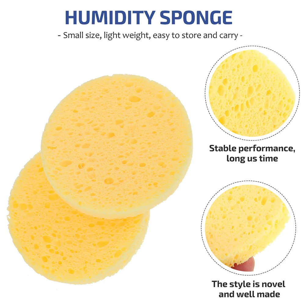 

50Pcs Hermit Crab Humidity Keeping Sponges Professional Multi-Function Pet Crab Sponges Water Dish Sponge Tank Humidity Supplies