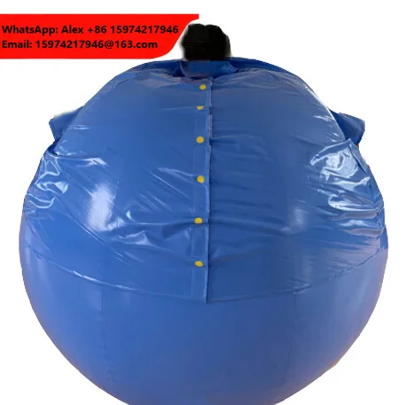 SZ ZHN Halloween Blueberry Suit Custom Body Set Fun Party Inflatable Clothes For Adults