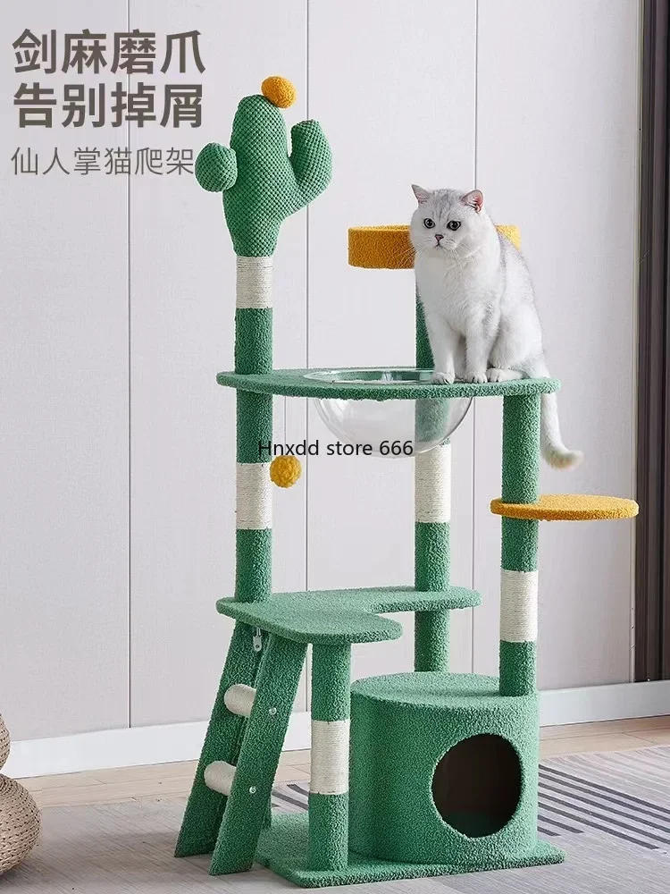 Kattenklimframe Zomercapsule Bezet De Kattenbenodigdheden Van Het Springplatform Niet
