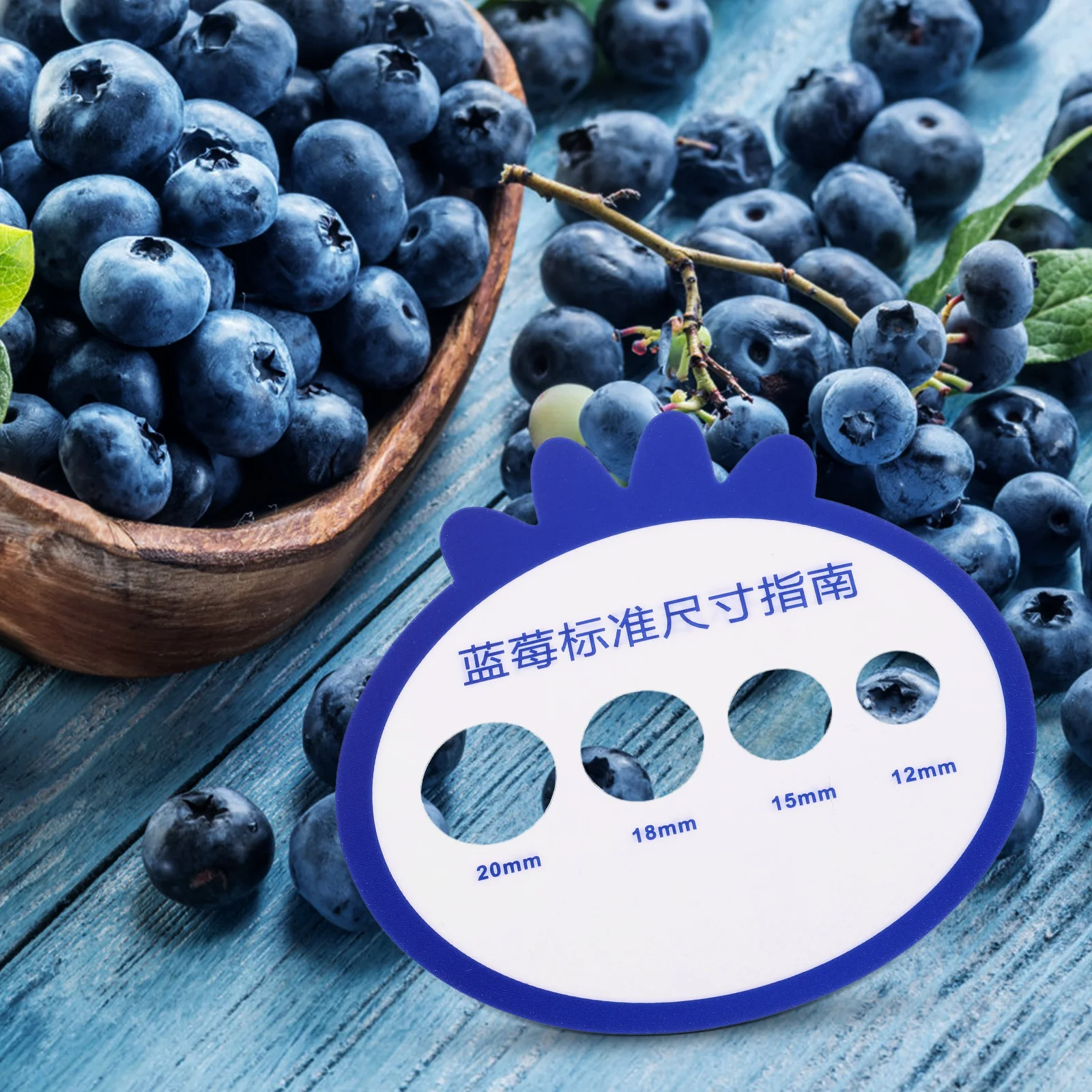 

12pcs Blueberry St Measuring Ruler Fruit Diameter Caliper 10.5x10.5 Grading Tool Gauge Card Circle Plastic Farms