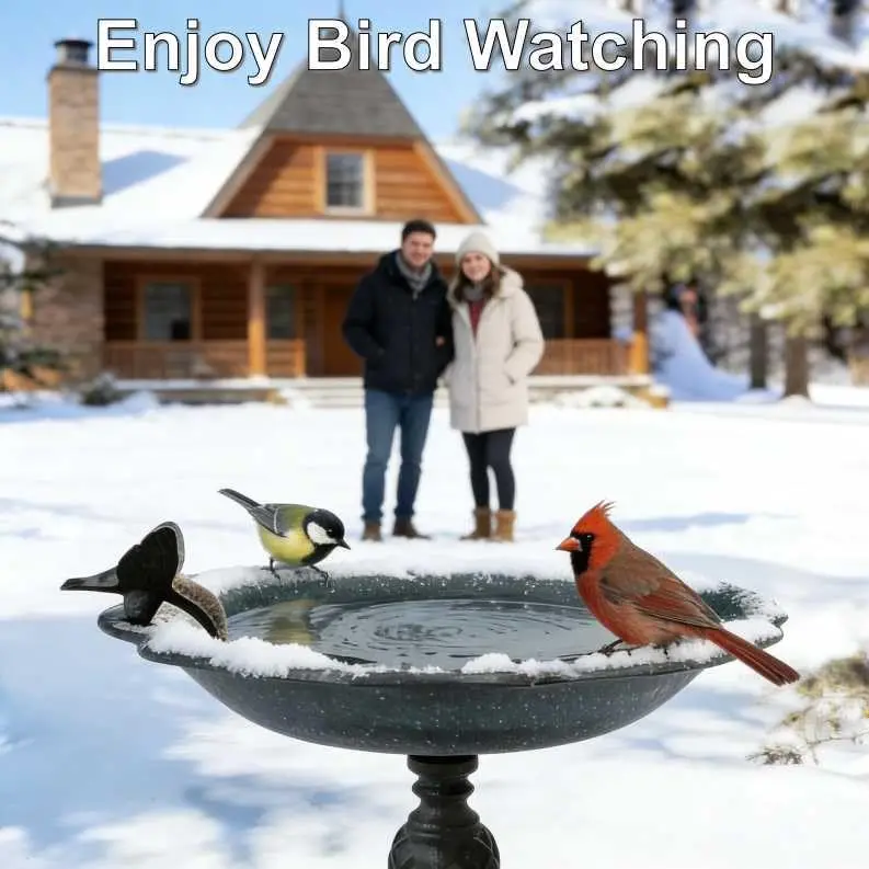 อ่างน้ำนกเหล็กหล่อขนาด 10.25 นิ้ว - ของตกแต่งสวนที่ทนทานต่อสภาพอากาศสำหรับนกและลานบ้าน