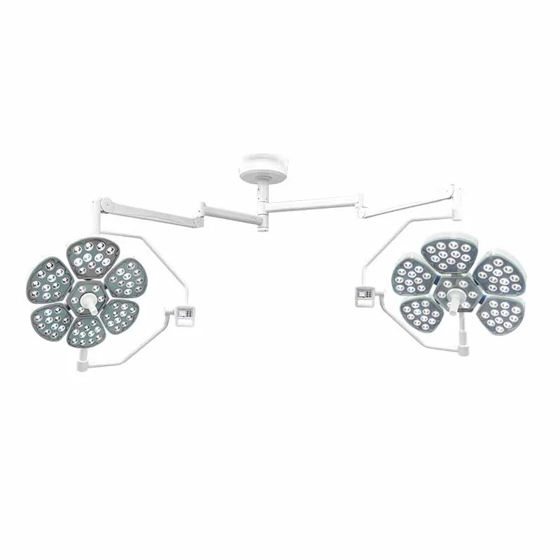 Cheap Price Electric Wall-Mounted LED Auxiliary Operation Lamp 5+5 Petals Operating Shadowless Lamp For Hospital Use