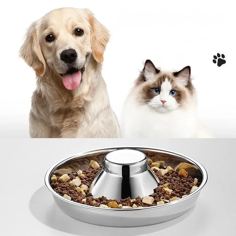 #3 New Stainless Steel Puppy Bowls Arrivals