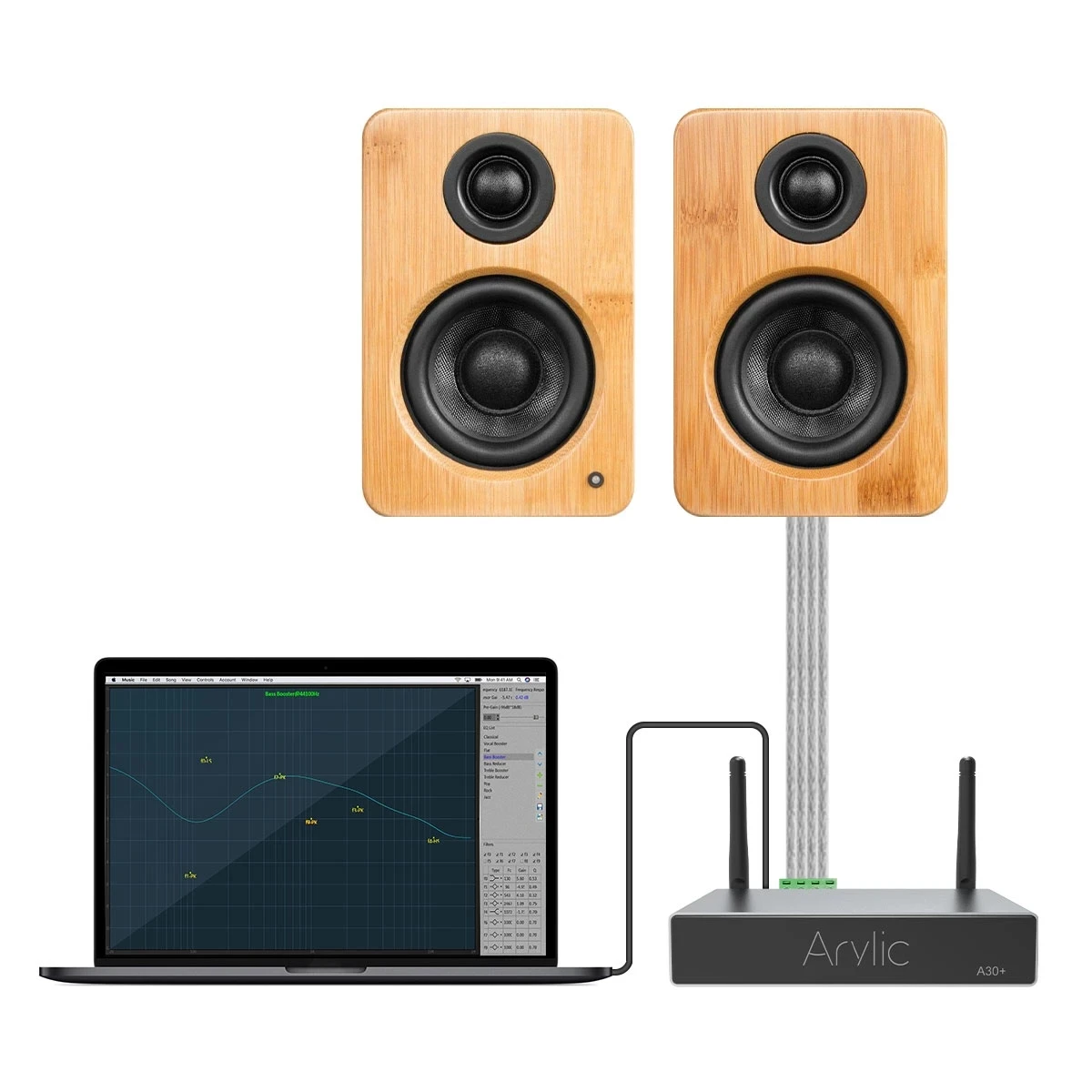 Arylic A30 + WiFi e Bluetooth 5.0 amplificatore di potenza sonora 30 wx2 Mini HiFi Stereo Wireless amplificatore Audio Home Digital Multiroom