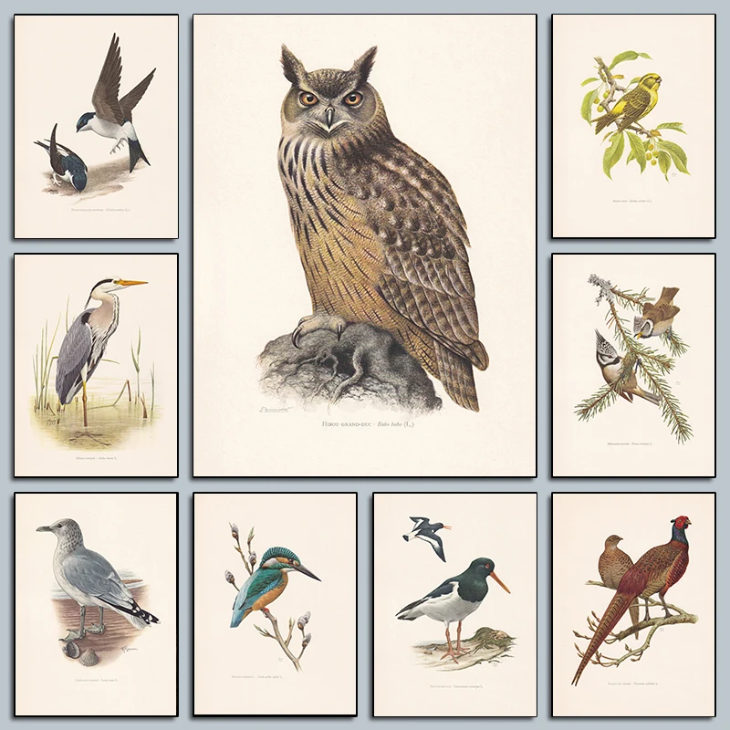 خمر عش الطيور وبيض الطيور المشارك أصفر البومة Cested تيط الطيور الطبيعية يطبع حائط لوح رسم صورة ديكور غرفة المنزل