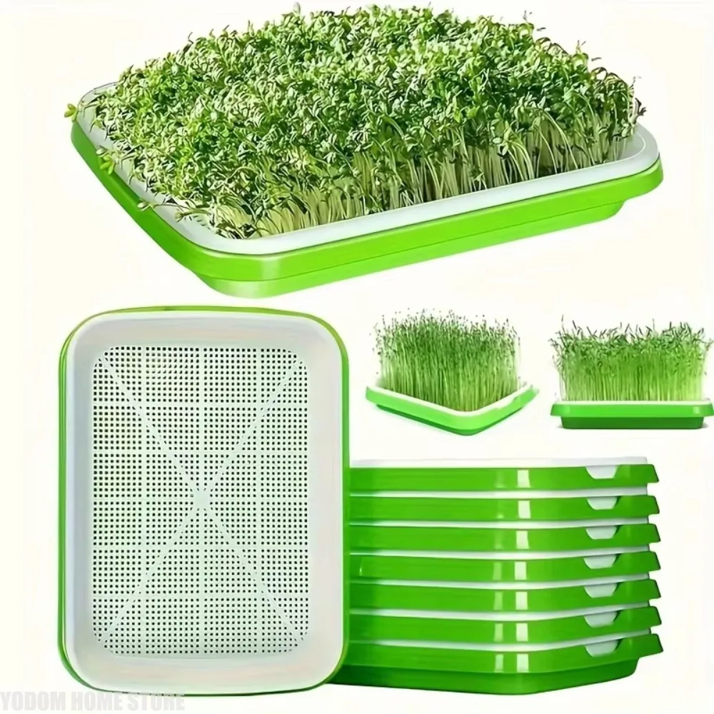 3 PCS Growing Trays For Sprouting Seeds, Hydroponics Basket Soilless Seed Sprouter, Germination Tray Kit With Lid For Garden