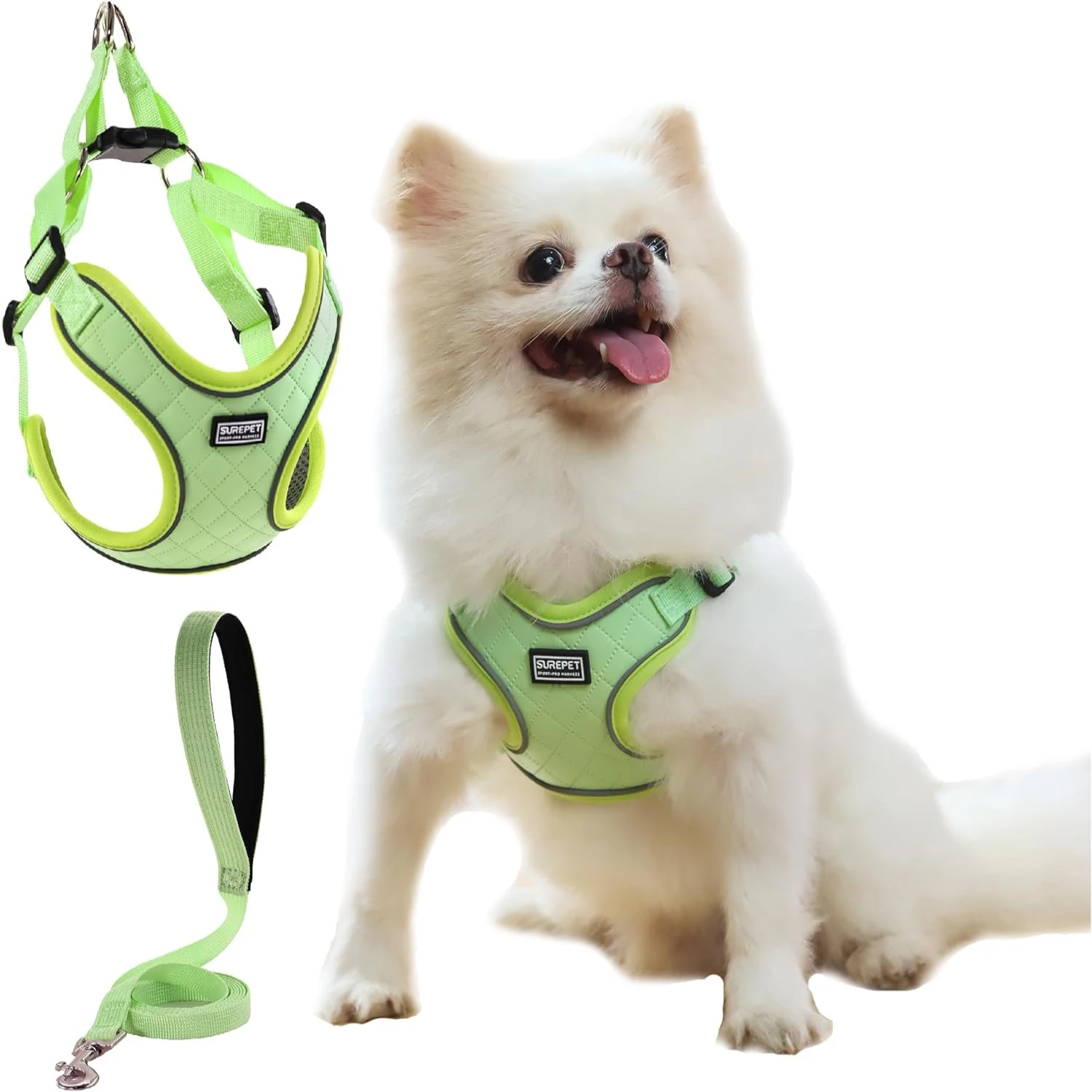 

Escape Proof Green Mesh Adjustable Step-In Dog Harness with Leash Set for Small and Medium Dogs and Large Cat, Reflective All We